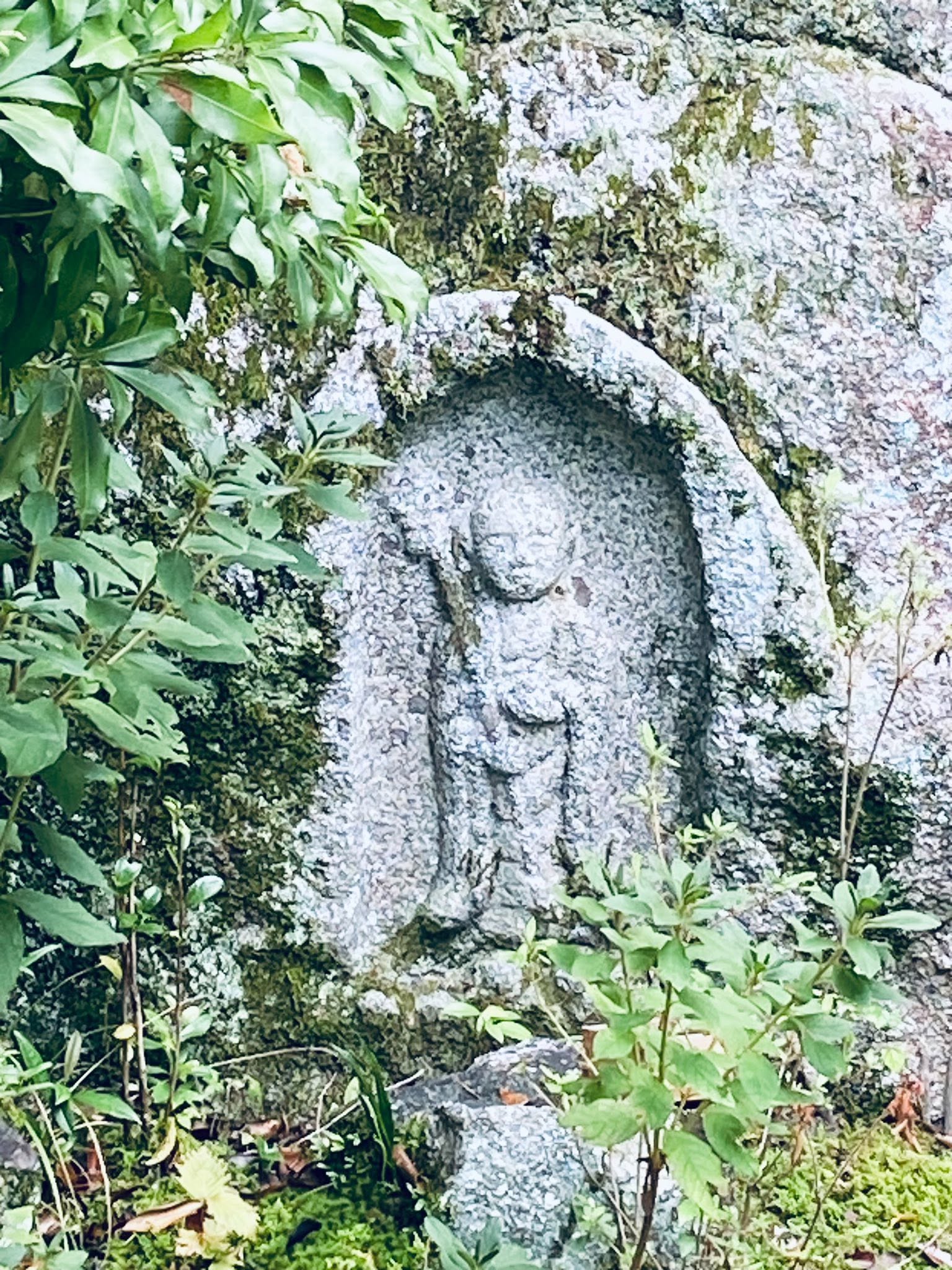 縮圖 17
